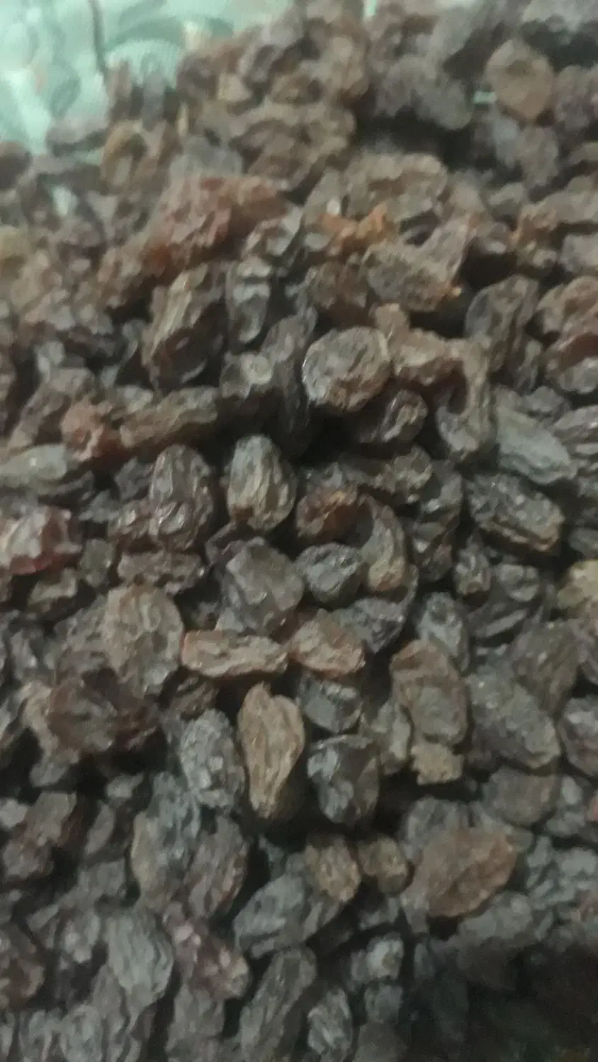 کشمش بناب|خوردنی و آشامیدنی|تبریز, |دیوار