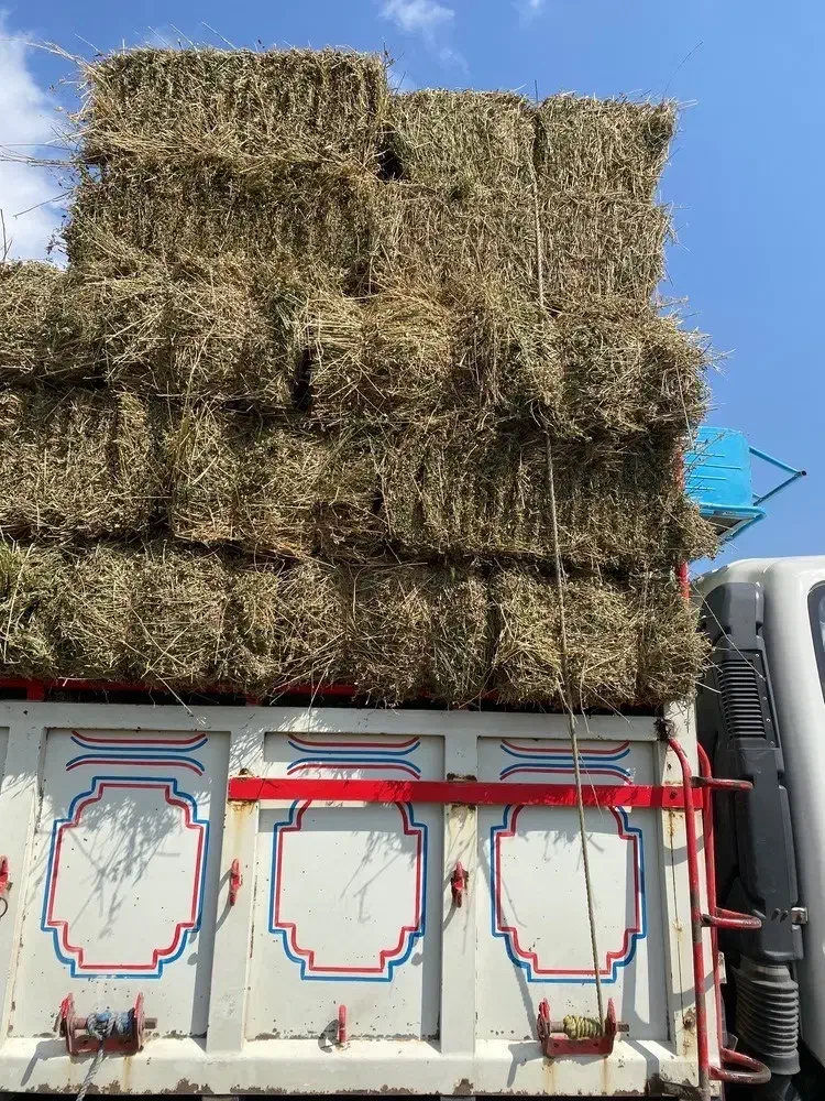 یونجه انباری|لوازم جانبی حیوانات|آبگرم, |دیوار