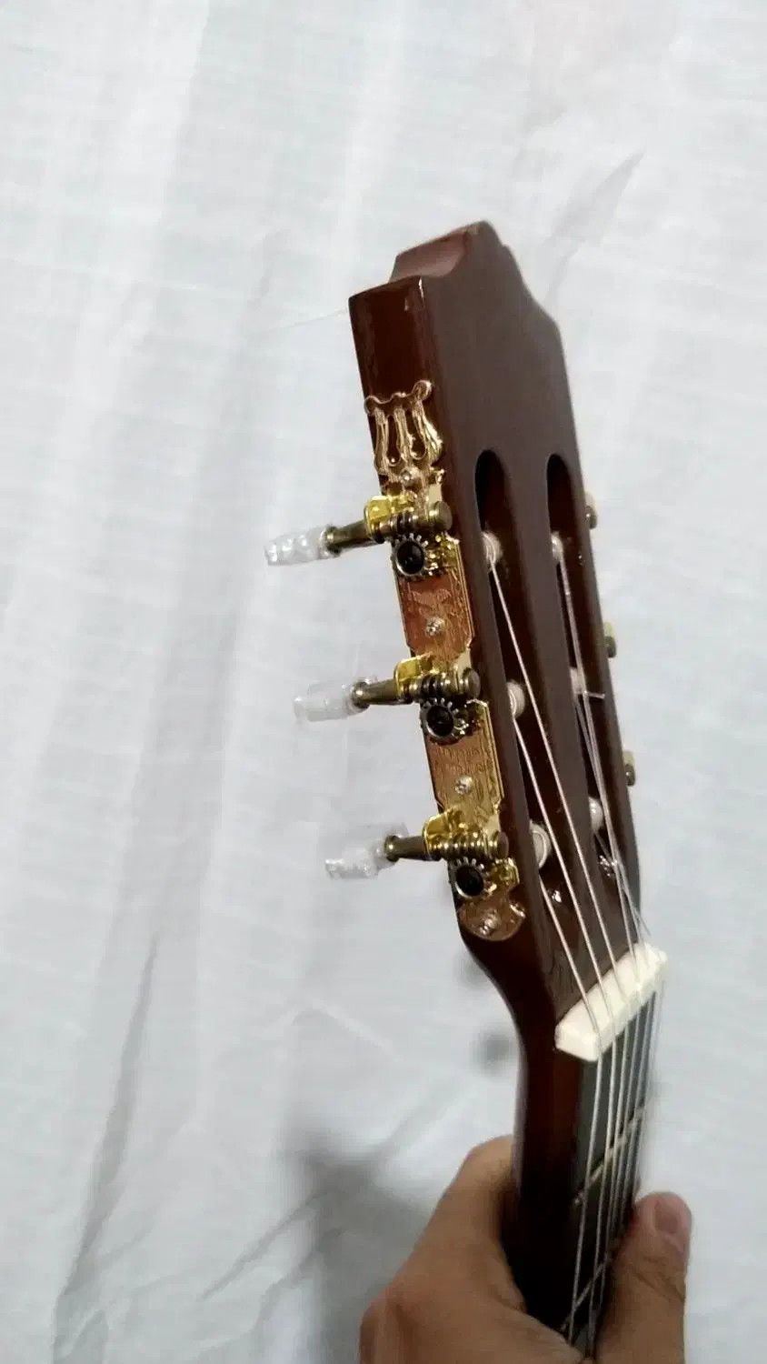 گیتار حرفه ای صفحه چوب اسپیروس|گیتار، بیس، امپلیفایر|تالش, هشتپر|دیوار