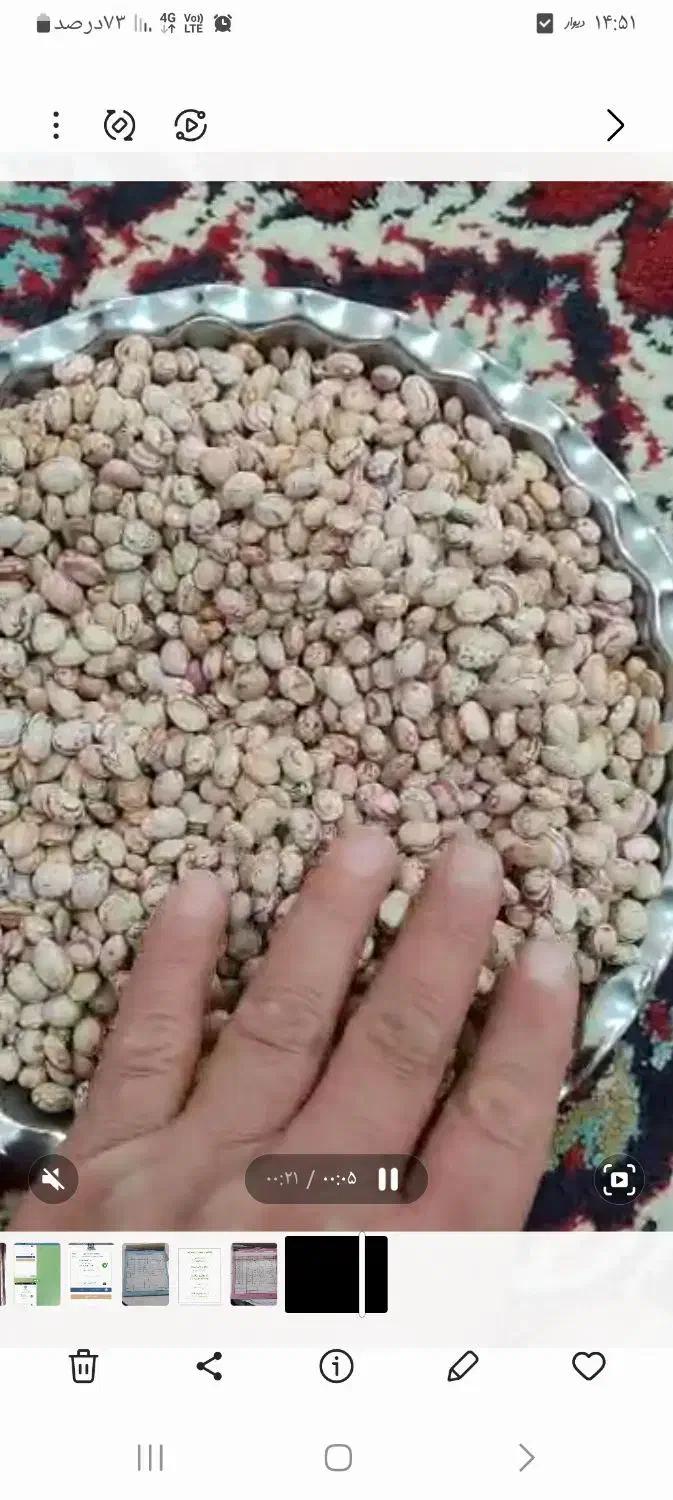 لوبیا چیتی|خوردنی و آشامیدنی|تهران, دانشگاه شریف|دیوار