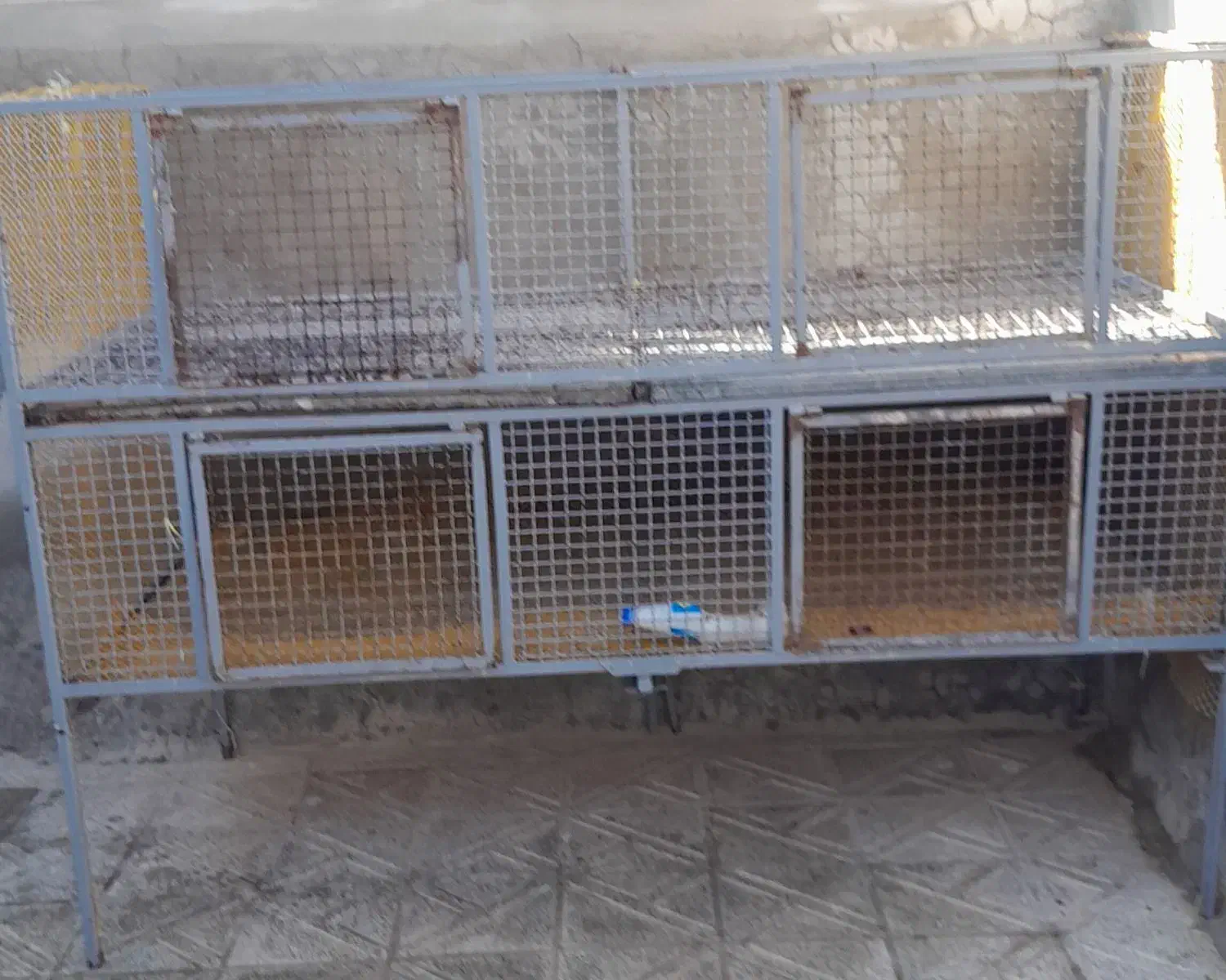 قفسه|لوازم جانبی حیوانات|ایلام, |دیوار