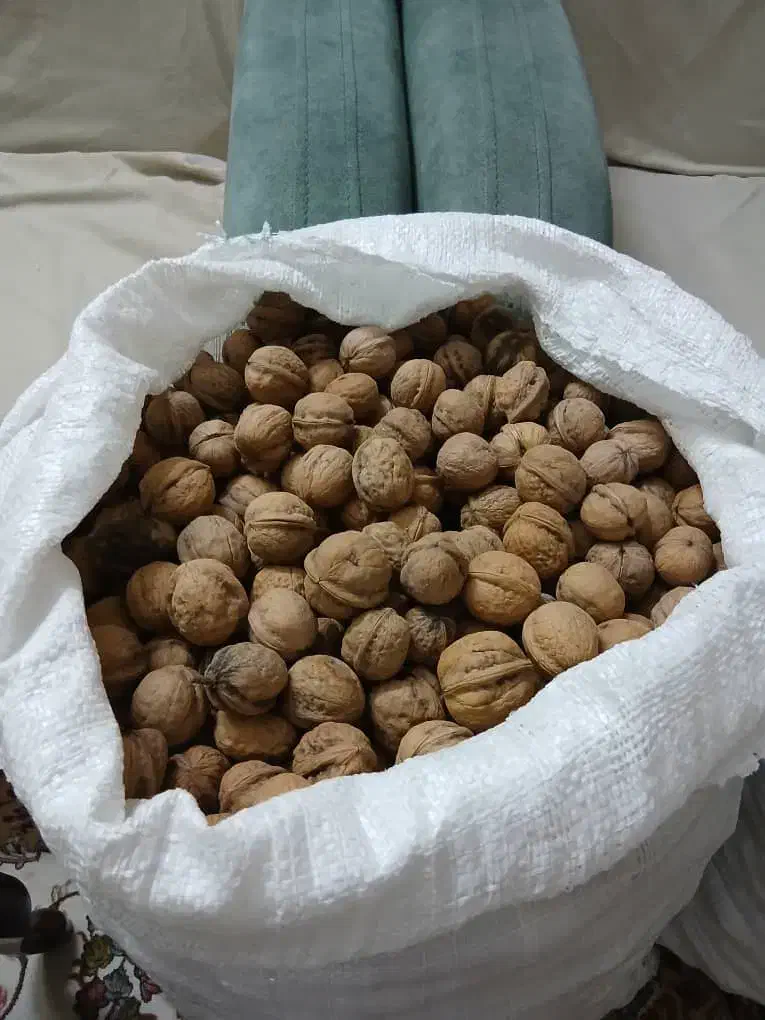 گردوی مرغوب تازه امسال باغ خودم|خوردنی و آشامیدنی|تهران, مسعودیه|دیوار