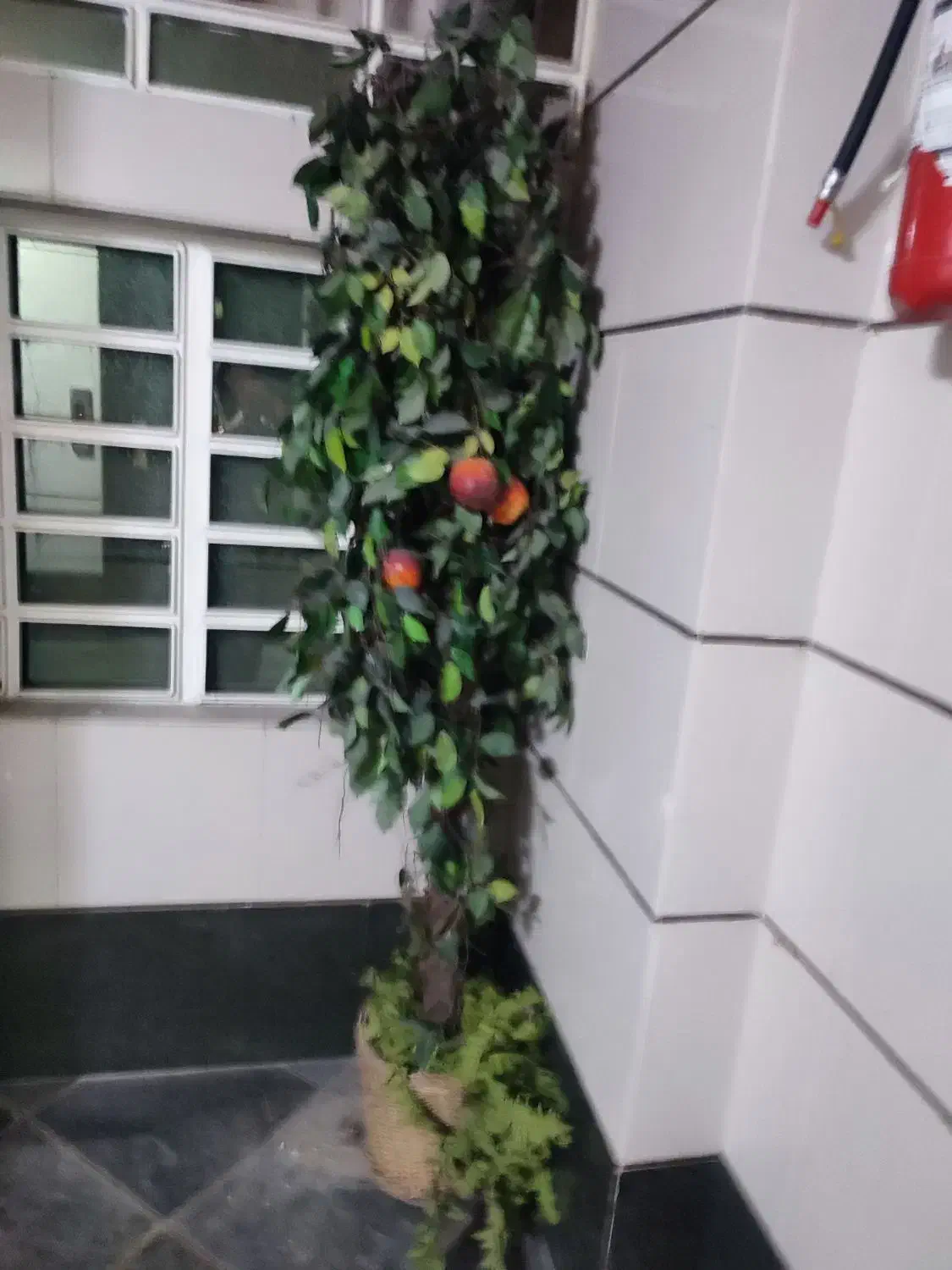 گل و درخت سیب با گلدان بزرگ|گل مصنوعی|شیراز, فلکه گاز|دیوار