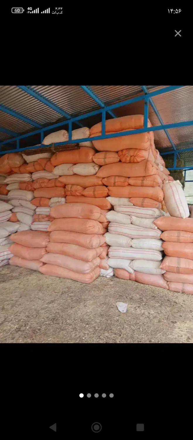 کاه گندم خرمن کوب|لوازم جانبی حیوانات|معمولان, |دیوار