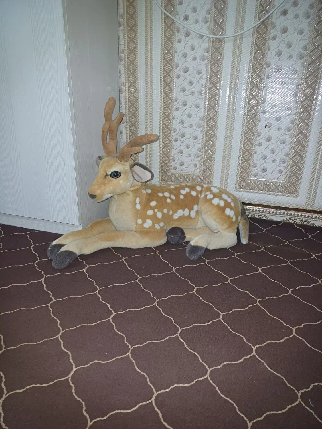 گل گلدان|گل مصنوعی|اهواز, اسلام آباد غربی|دیوار