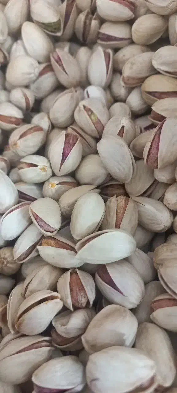 پسته احمدآقایی و اکبری با تخفیف امکان تست قبل خرید|خوردنی و آشامیدنی|قم, بلوار امین و ساحلی|دیوار