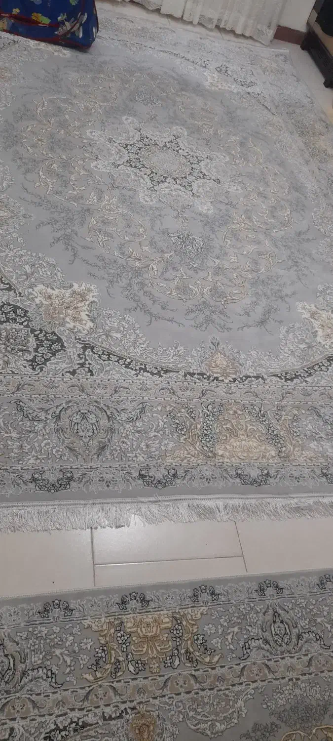 فرش ۹و۴متری|فرش|رشت, کوی مهر|دیوار