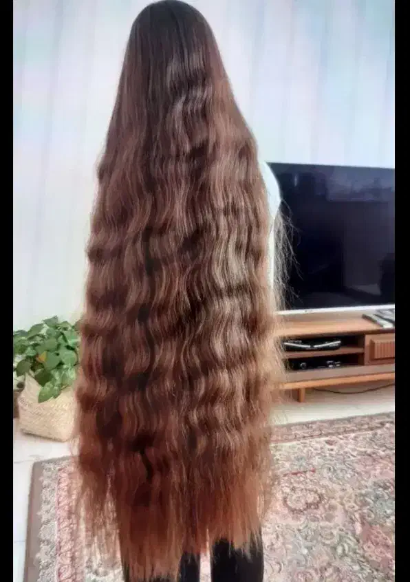 بزرگترین خریدار مو در کرمانشاه به بالاترین قیمت|خدمات آرایشگری و زیبایی|بیلوار, |دیوار