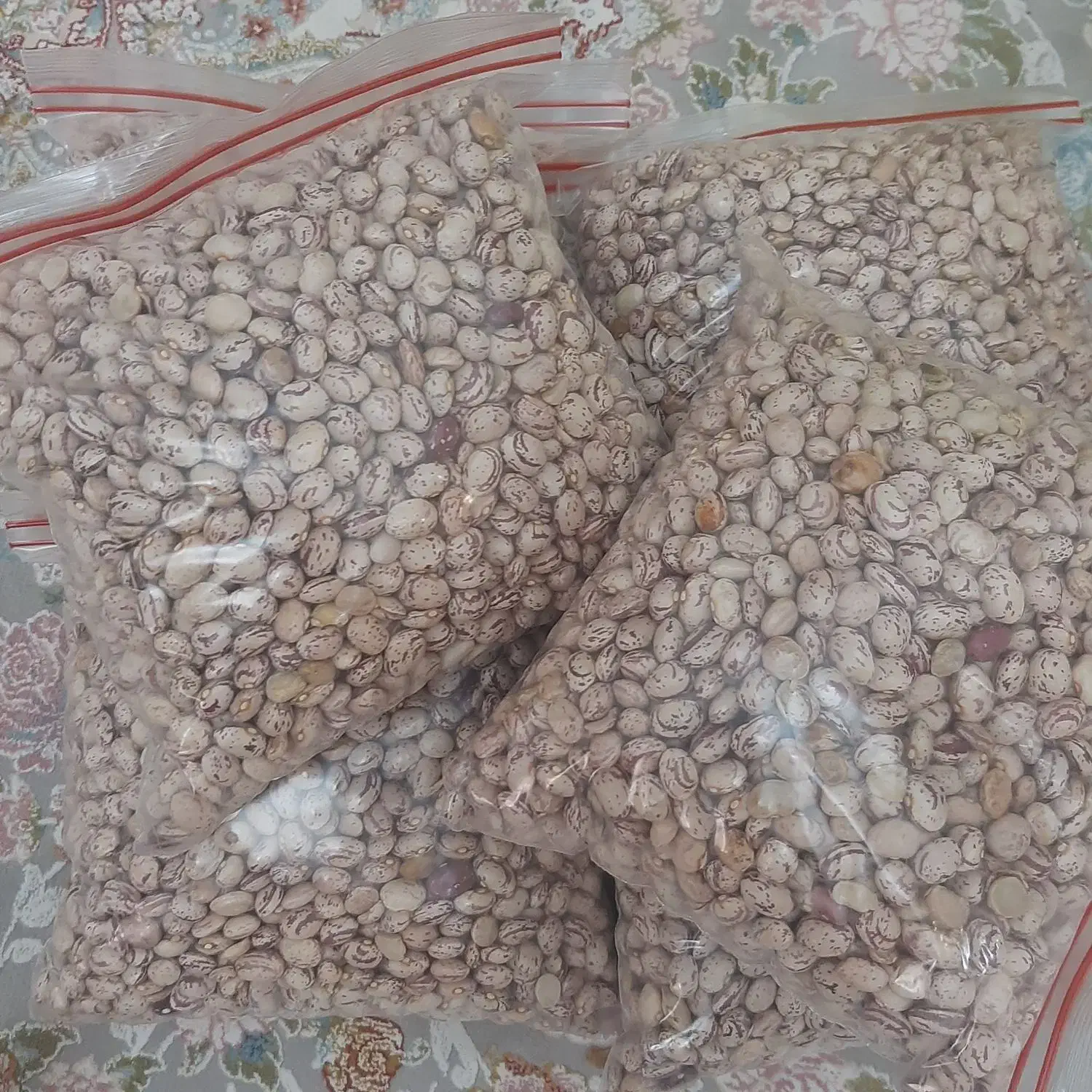 لوبیای چهارمحال بختیاری|عمدهفروشی|تهران, مدائن|دیوار