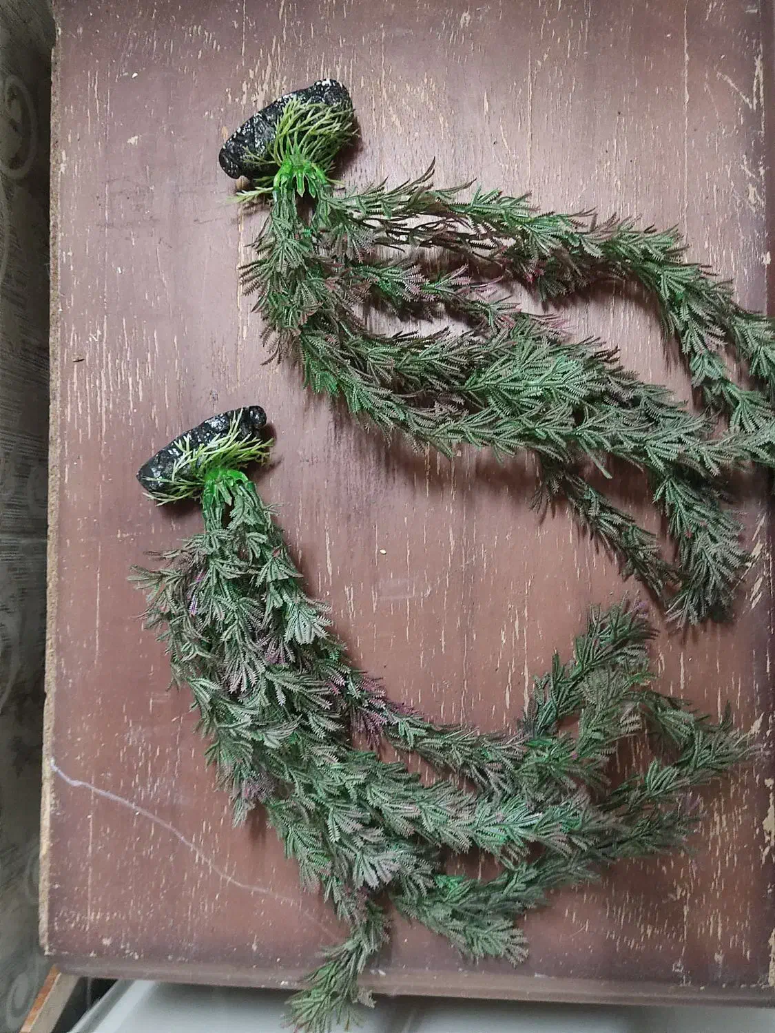 آکواریوم|ماهی|اردکان, |دیوار