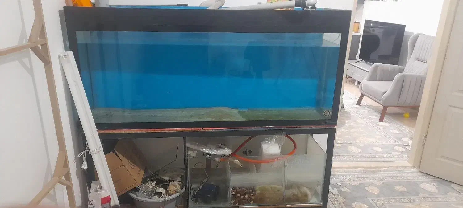 آکواریوم سایز بزرگ|ماهی|خرمآباد, |دیوار