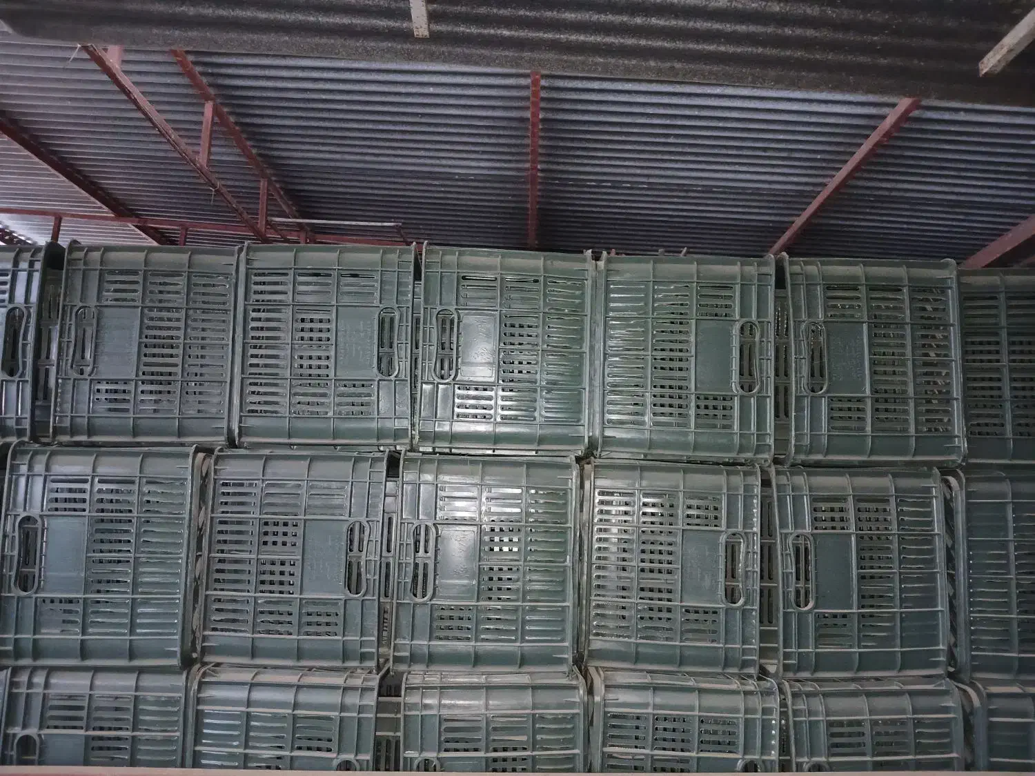 سبد ۲۰کیلویی|ظروف نگهدارنده، پلاستیکی، یک‌بارمصرف|گنبد کاووس, |دیوار