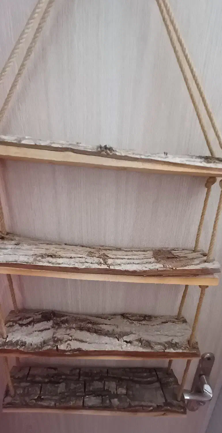 شلف طبقه بندی جاگلدانی ویترین خاص دست ساز خاص|کتابخانه، شلف، قفسههای دیواری|قم, شهدا|دیوار