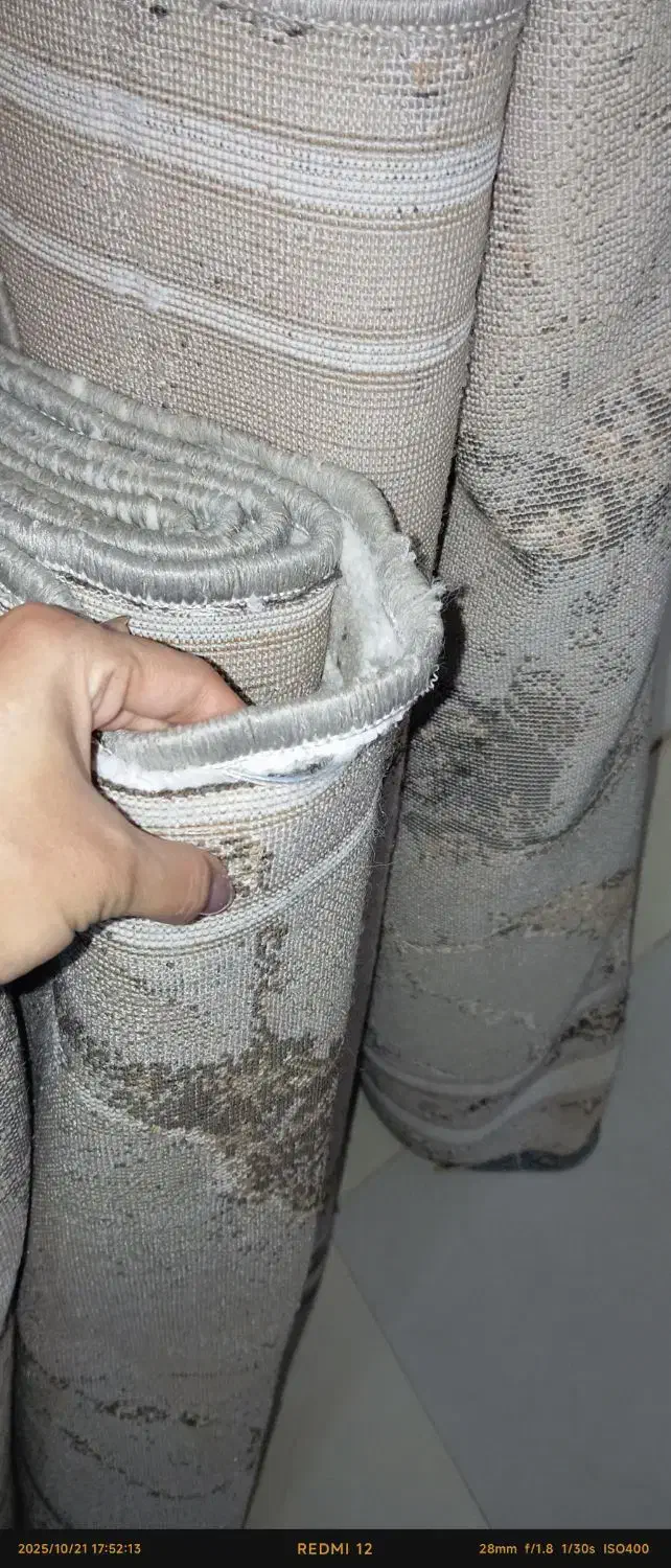 فروش فرش تمیز|فرش|برازجان, |دیوار