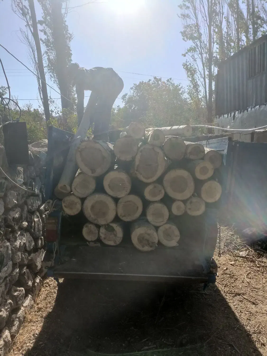 خرید چوب|خدمات باغبانی و درختکاری|بم, |دیوار