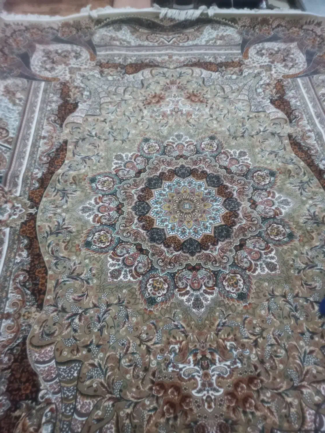 فرش سالم|فرش|تاکستان, |دیوار
