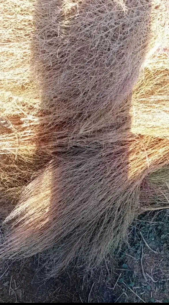 10بسته جارو دستی|لوازم نظافت|میاندوآب, |دیوار