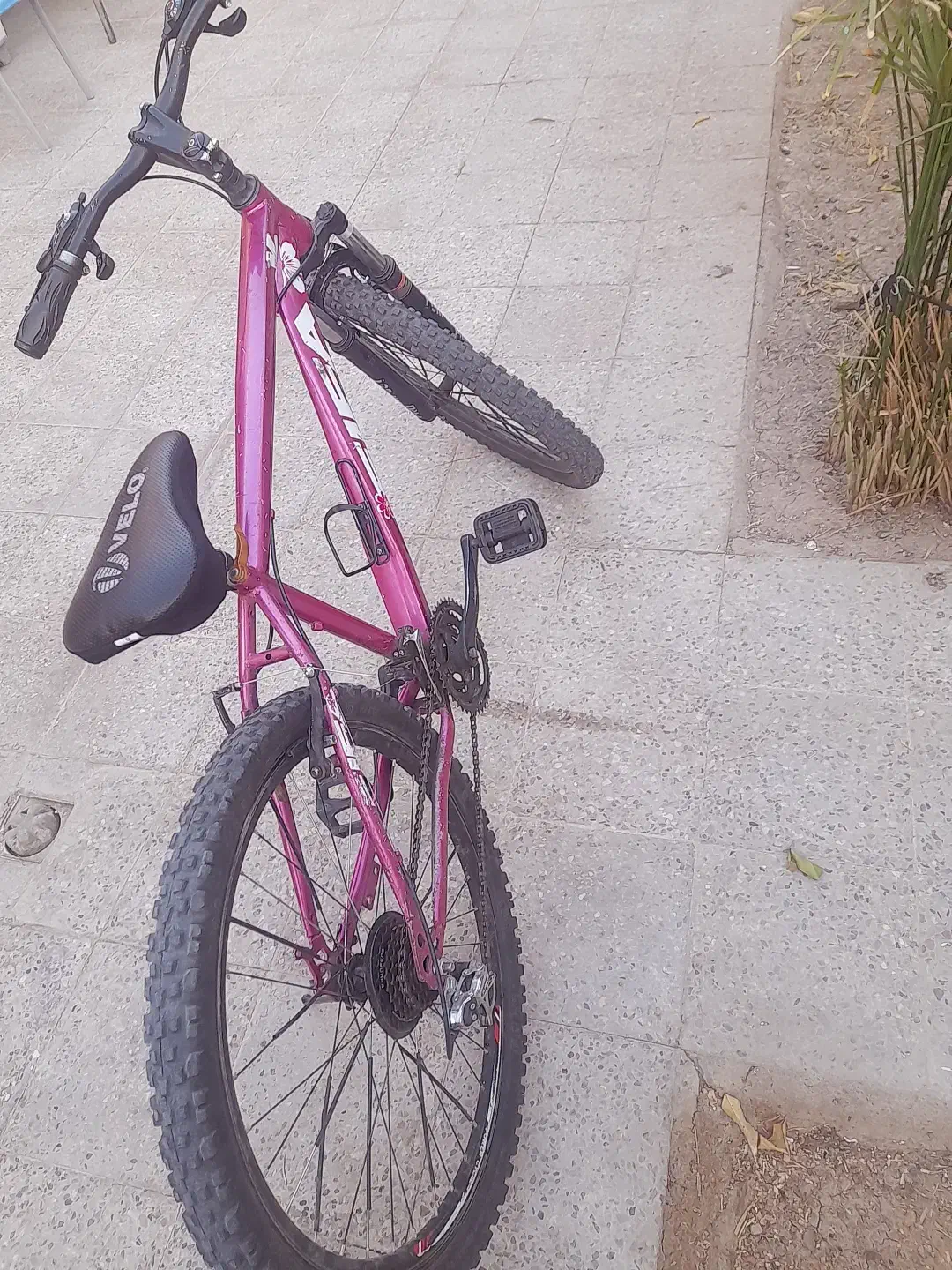 دوچرخه تنه بلند FIFA سایز ۲۶ هفت دنده ای|دوچرخه، اسکیت، اسکوتر|دوگنبدان, |دیوار