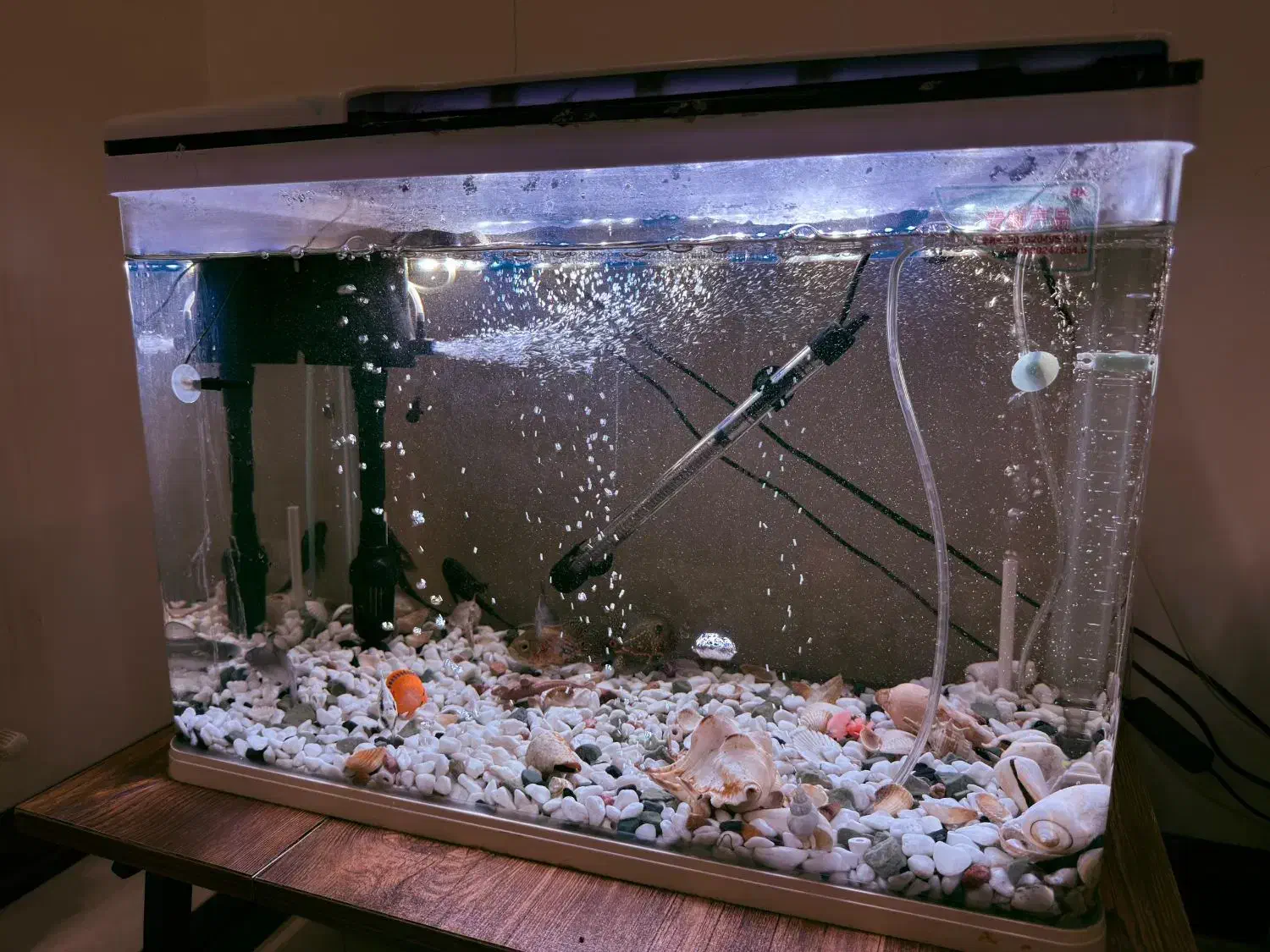 فروش آکواریوم سی استار شیشه خمیده در حد نو|ماهی|تهران, افسریه شمالی|دیوار