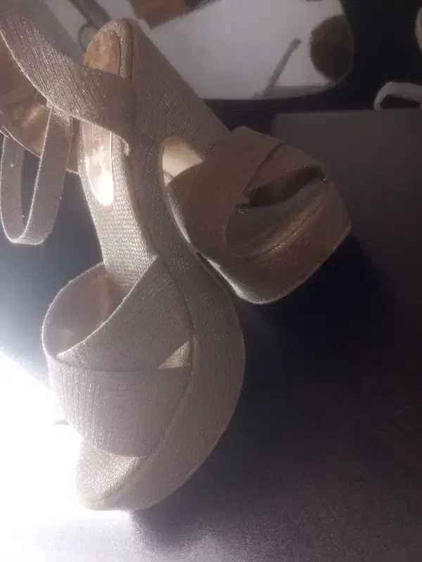 مجلسی|کیف، کفش، کمربند|سلماس, |دیوار