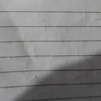 ضامن کارمند لازم دارم  یا جواز کسب شهرری|خدمات مالی، حسابداری، بیمه|ری, دیلمان|دیوار