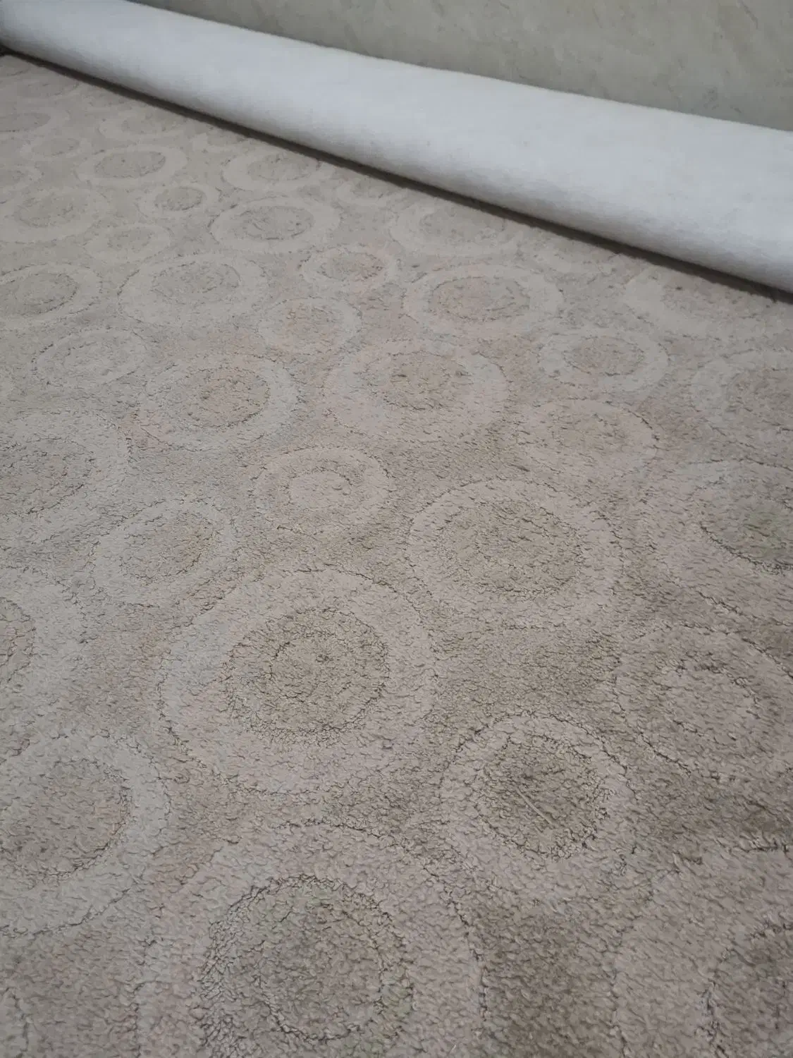 موکت پالاز و پشتی نو|موکت|ایلام, |دیوار