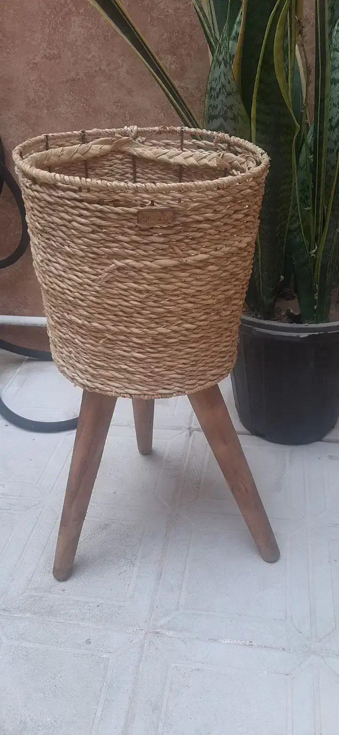 گلدون حسیری کارکرده|گل و گیاه طبیعی|قرچک, داوود آباد|دیوار