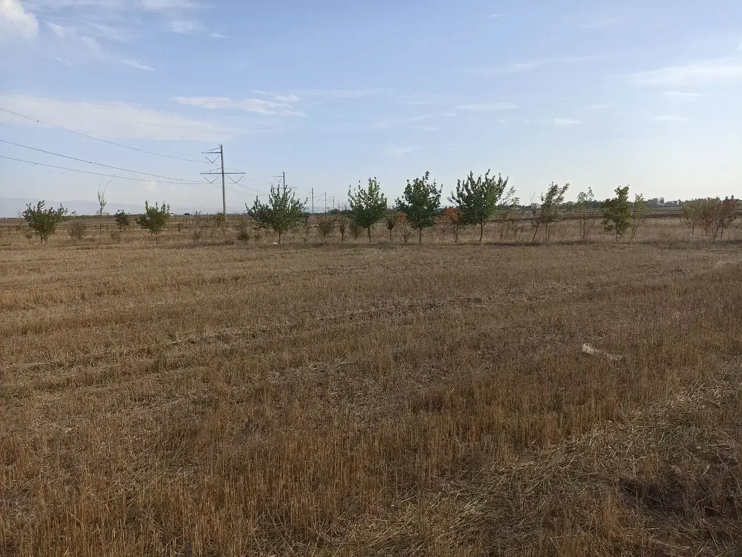 فروش زمین کشاورزی|فروش زمین و ملک کلنگی|طسوج, |دیوار