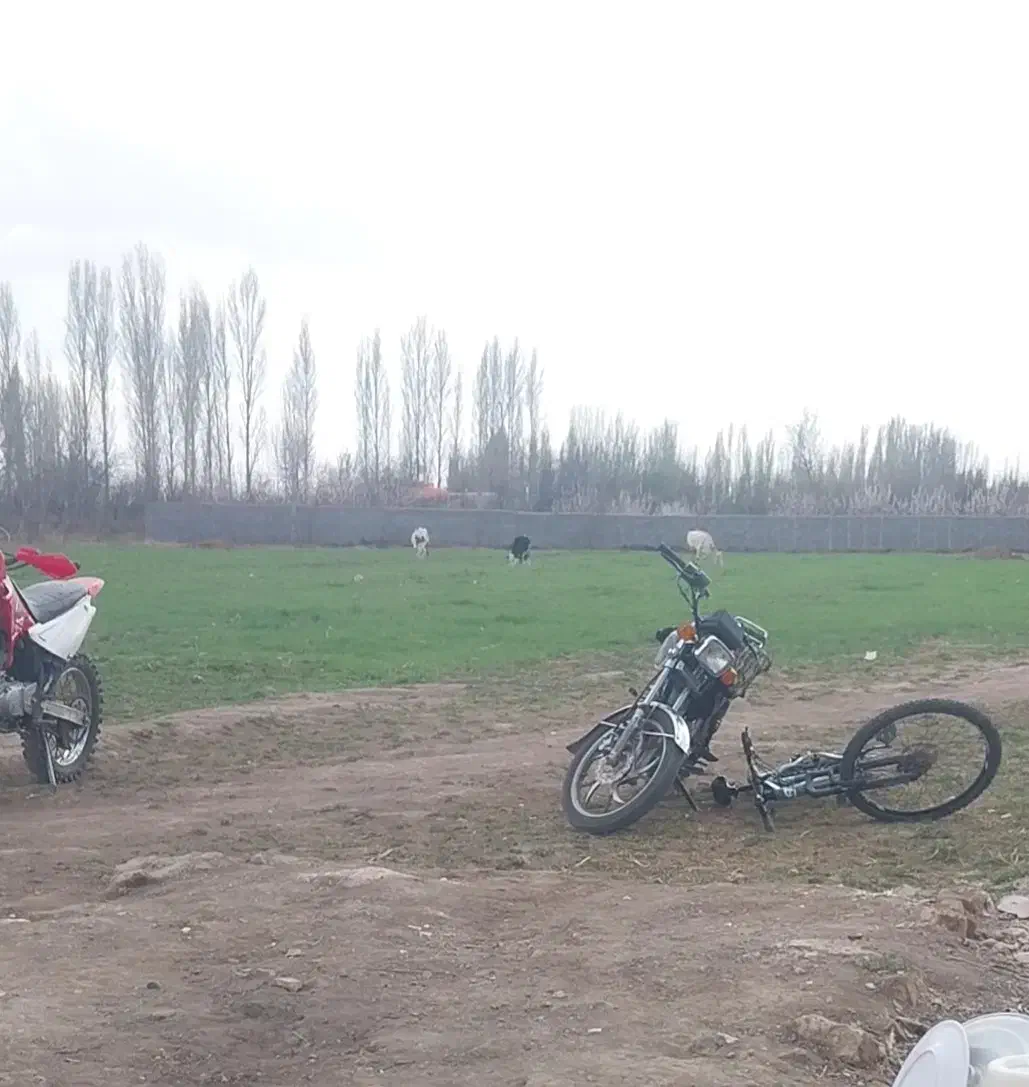 فروش زمین|فروش زمین و ملک کلنگی|فیرورق, |دیوار