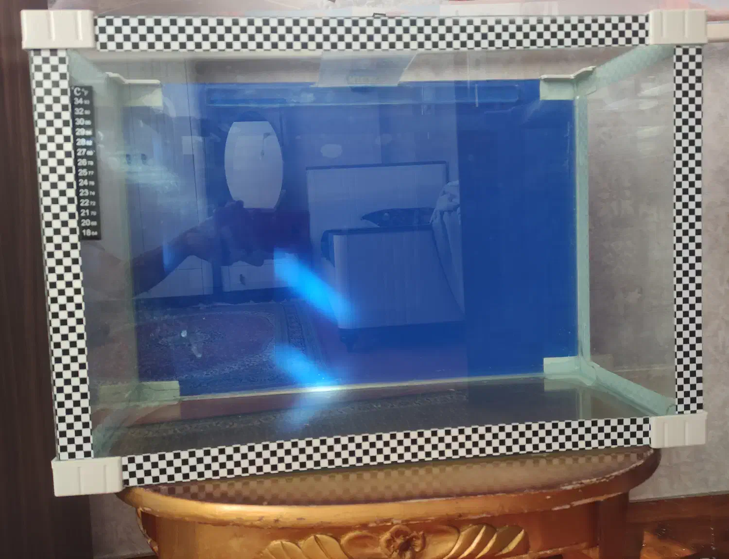 آکواریوم ۶۰ لیتری شیشه ۶ میل+ دماسنج نواری|ماهی|خوی, |دیوار