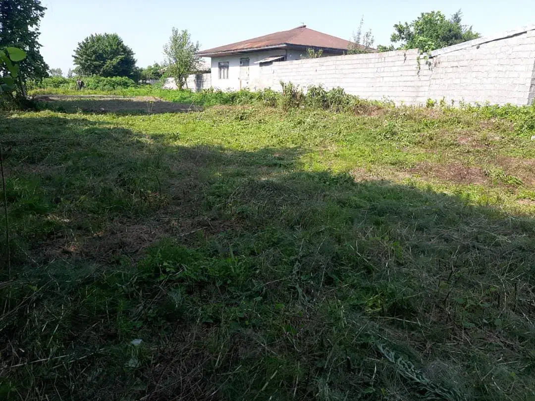 زمین باغی|فروش زمین و ملک کلنگی|رشت, جانبازان|دیوار