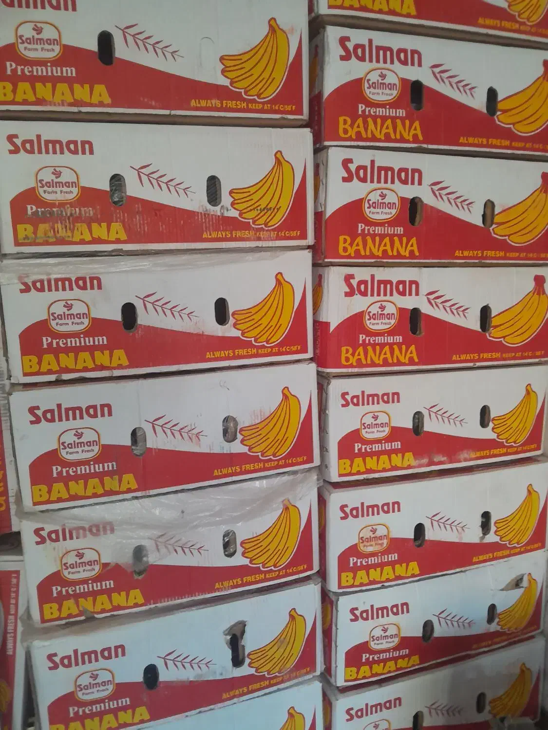 کارتن موز|عمدهفروشی|خرمآباد, |دیوار