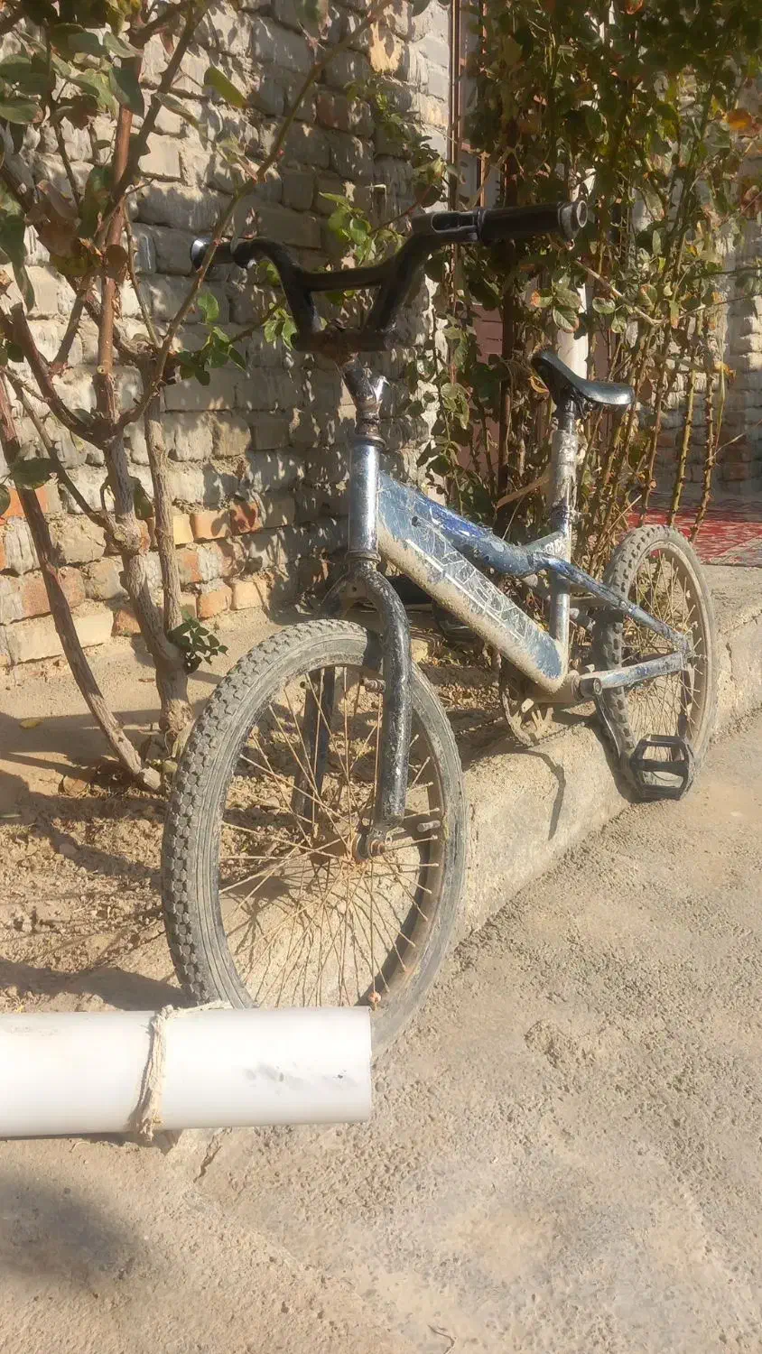 دوچرخه|دوچرخه، اسکیت، اسکوتر|نوشین شهر, |دیوار