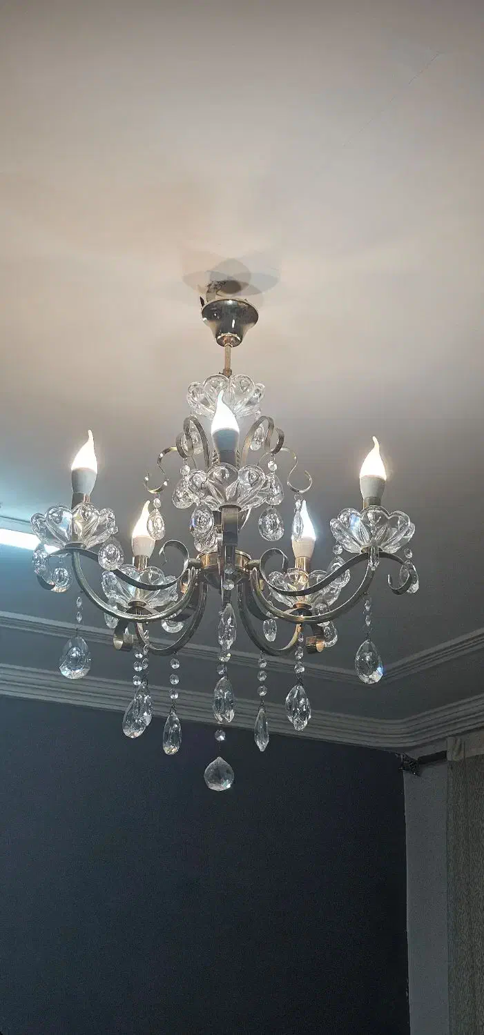 لوستر ۵ شاخه|لوستر و چراغ آویز|بندرعباس, |دیوار