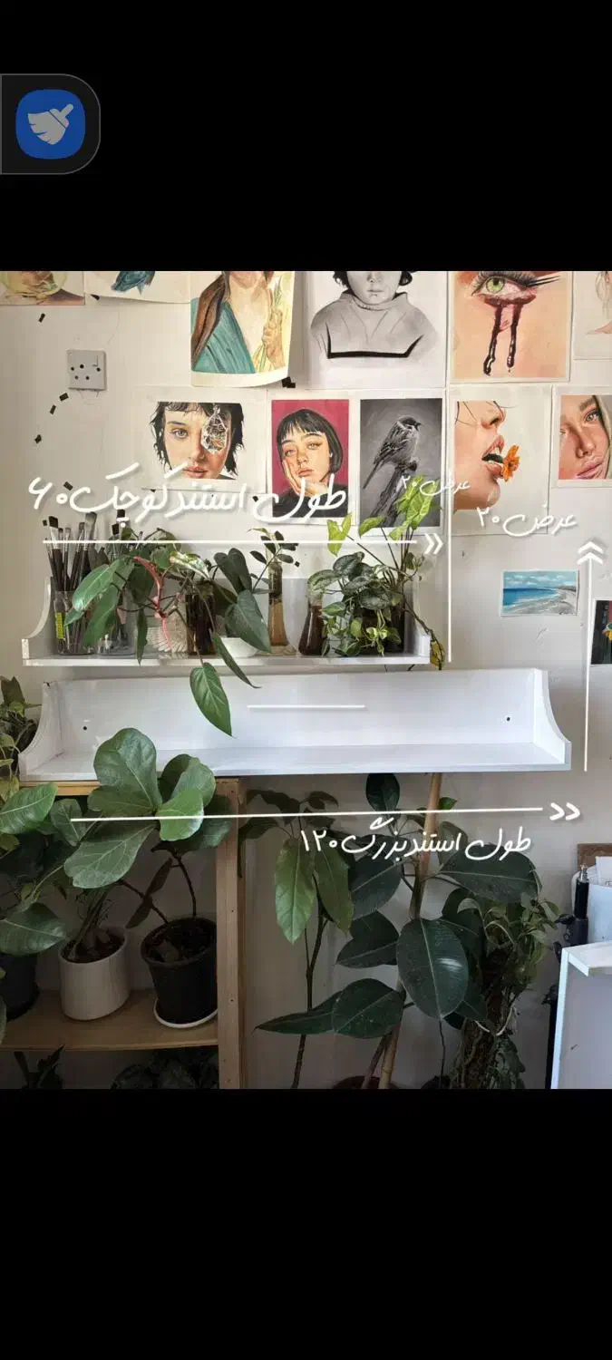 شلف دیواری|کتابخانه، شلف، قفسه‌های دیواری|اهواز, زیتون کارگری|دیوار