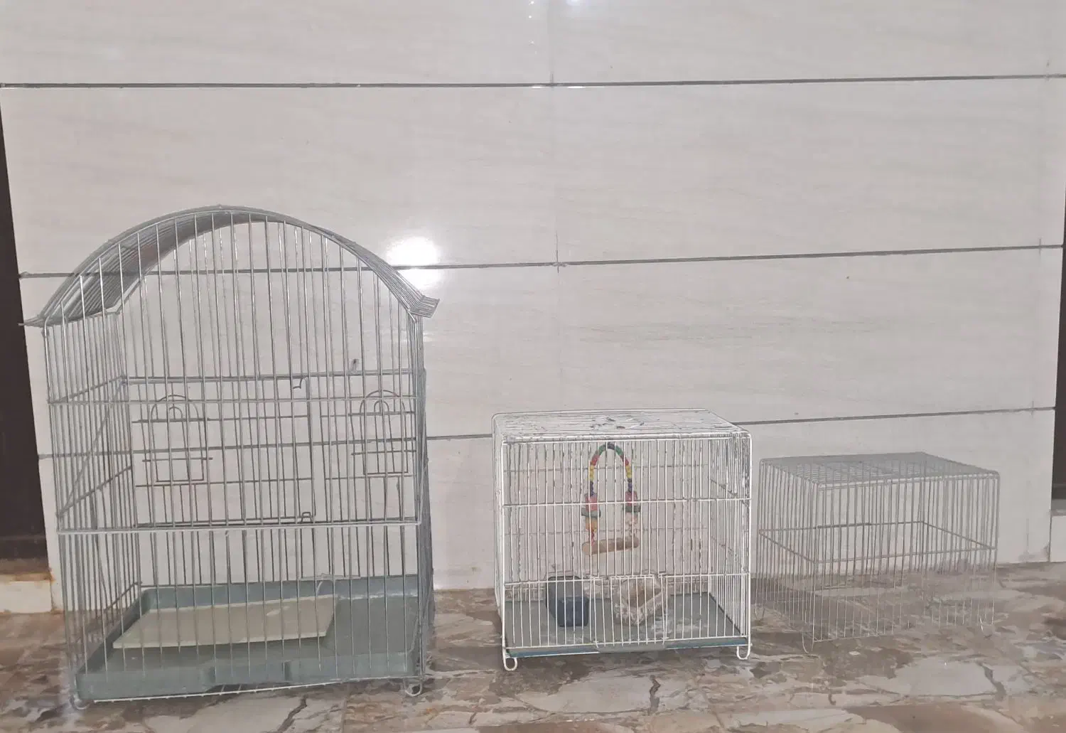 قفس پرنده|لوازم جانبی حیوانات|سنندج, |دیوار