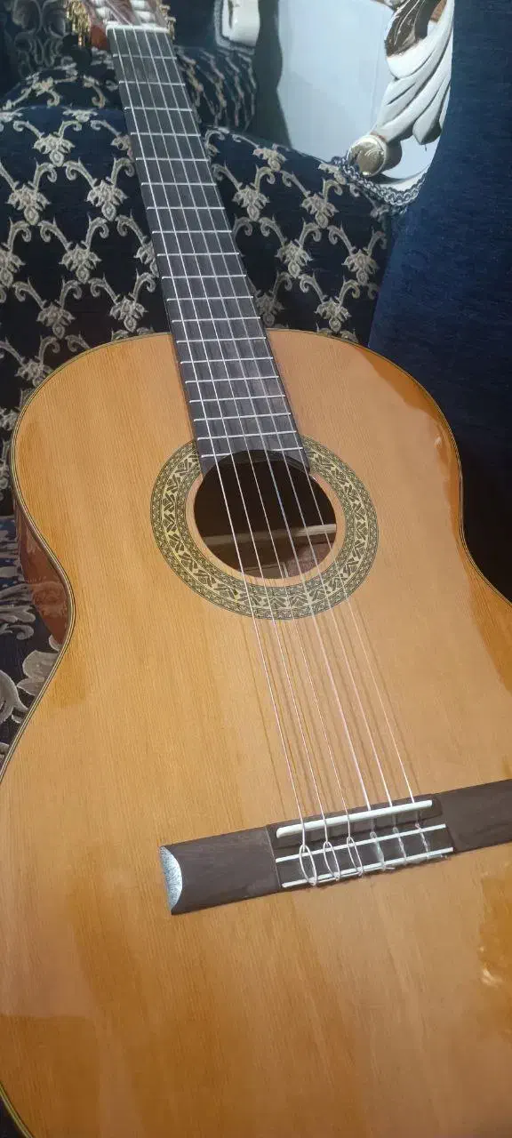 gitar chaard|گیتار، بیس، امپلیفایر|یاسوج, |دیوار