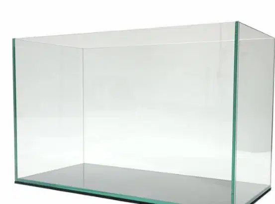 آکواریوم|ماهی|دزفول, |دیوار