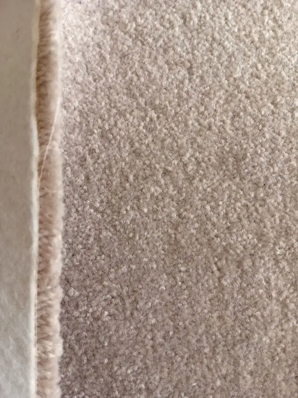 پالاز موکت|موکت|خمینیشهر, |دیوار