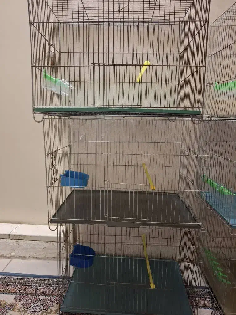 قفس پرنده|لوازم جانبی حیوانات|تهران, قصر فیروزه ۱|دیوار