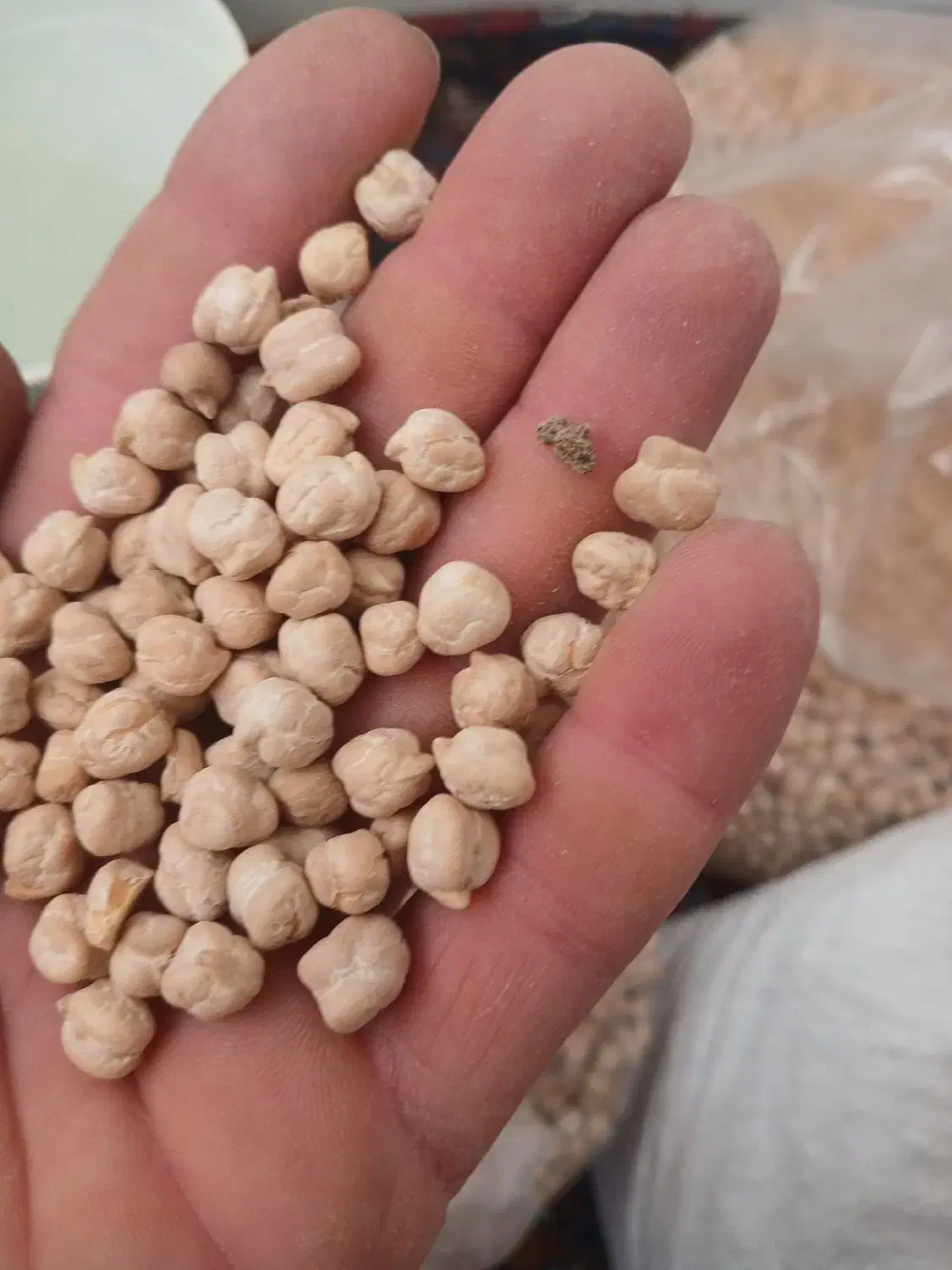 نخود امسال تازه|خوردنی و آشامیدنی|کرمانشاه, |دیوار