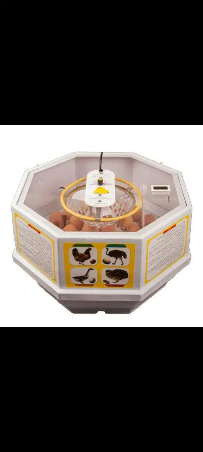 دستگاه جوجه کشی|لوازم جانبی حیوانات|بافت, |دیوار