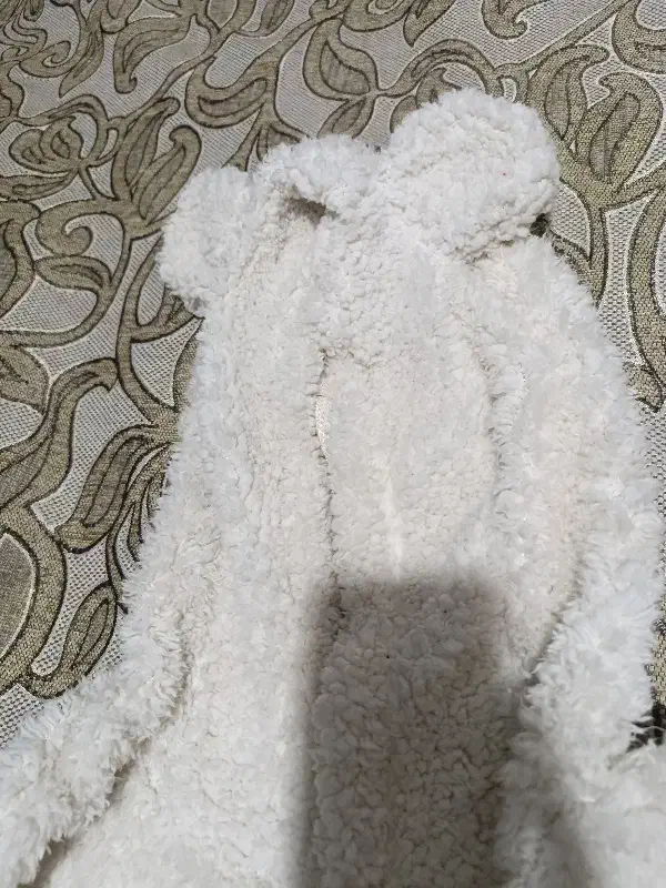 هودی|لباس|گرگان, |دیوار