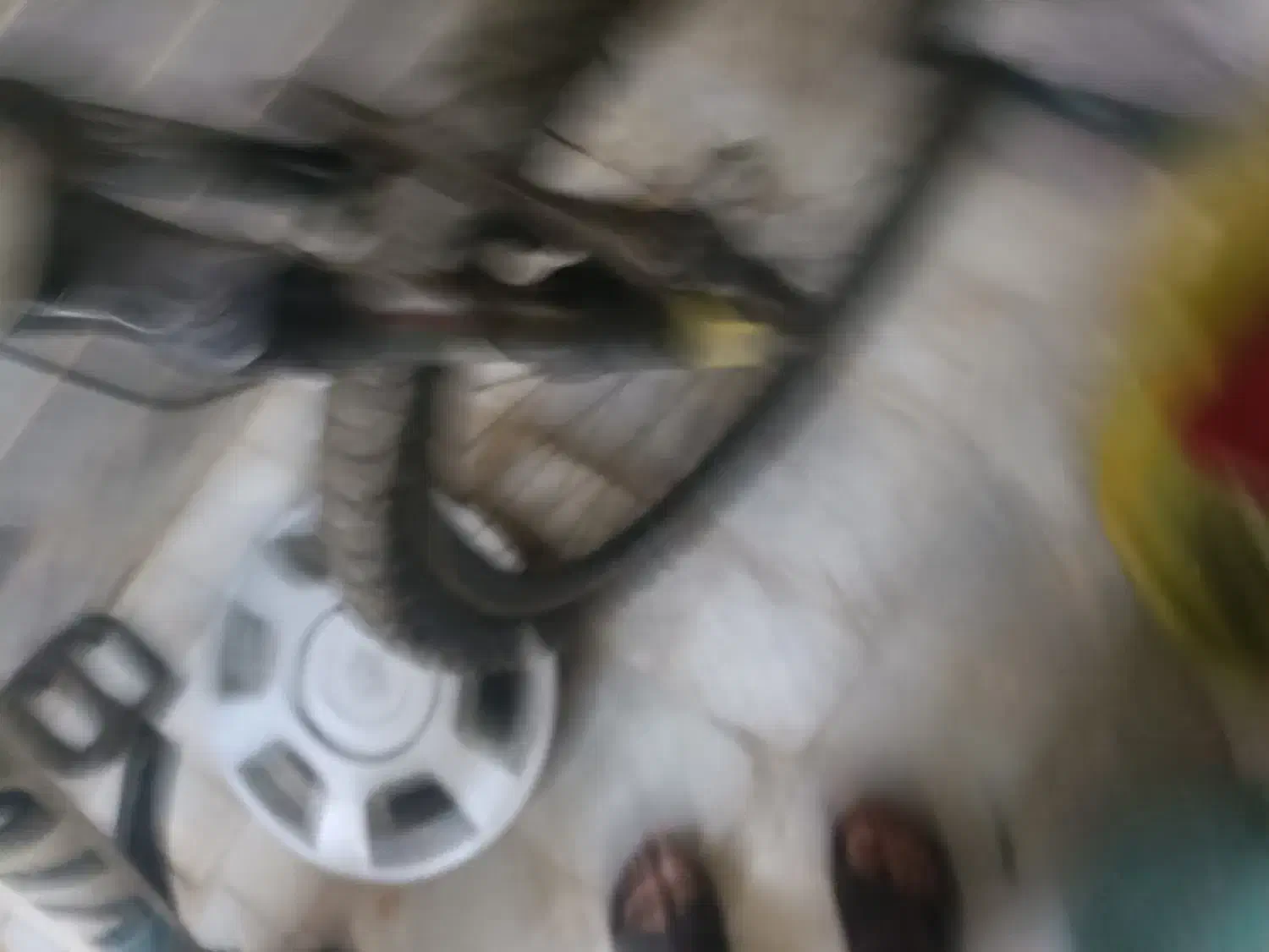 دوچرخه 26|دوچرخه، اسکیت، اسکوتر|سنندج, |دیوار