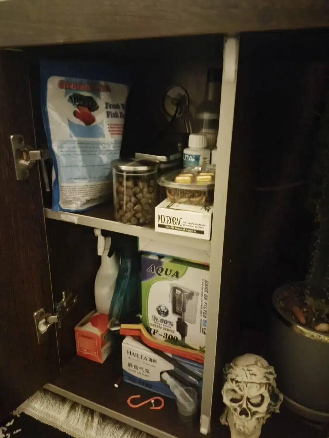 آکواریوم|ماهی|اندیشه, اندیشه فاز ۳|دیوار