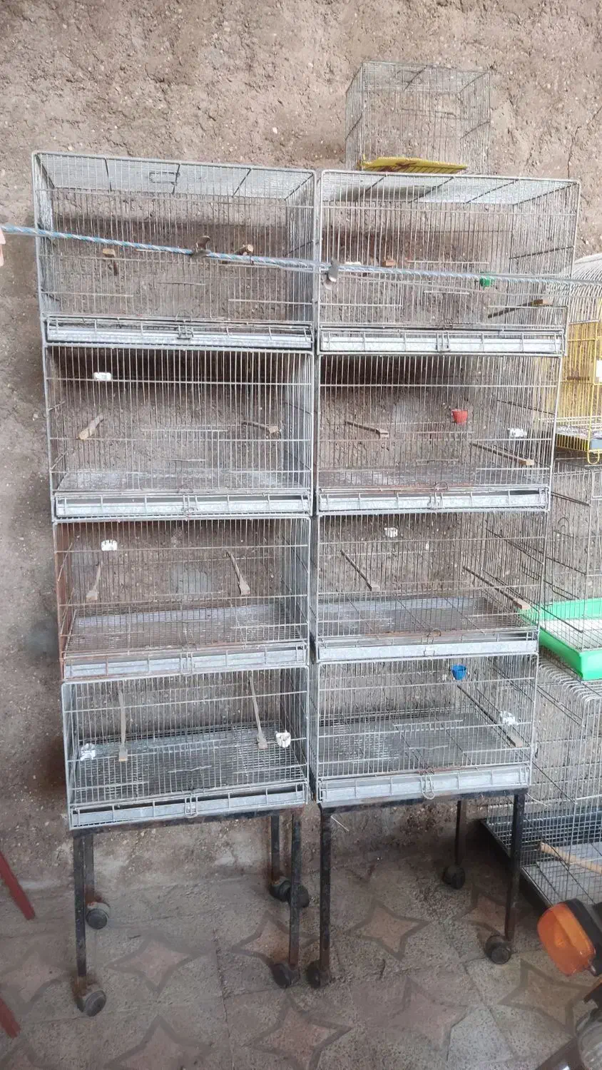 قفس چهار خان|لوازم جانبی حیوانات|شوشتر, |دیوار