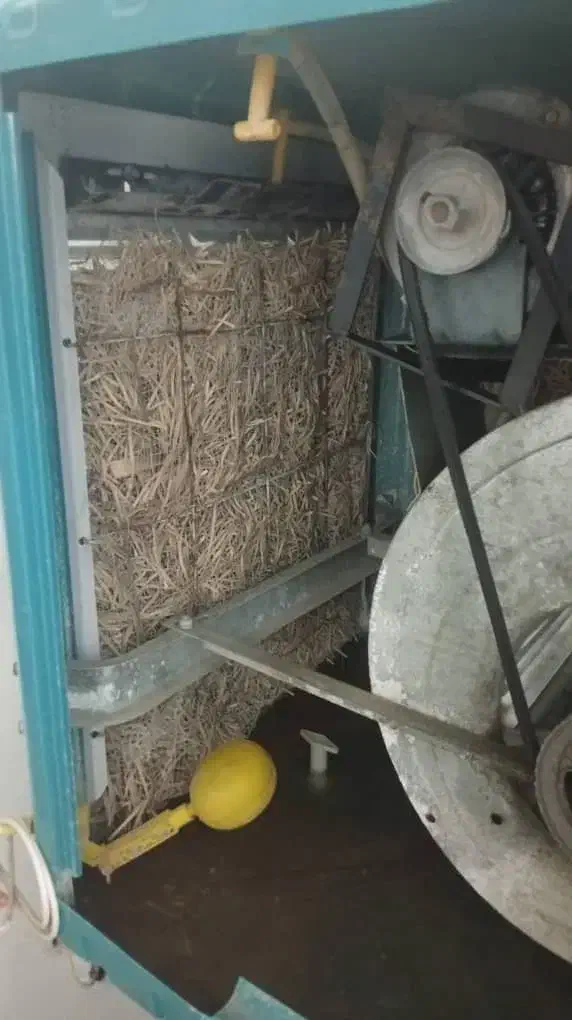 کولرآبی|کولر آبی|قم, مسجد امام حسن|دیوار