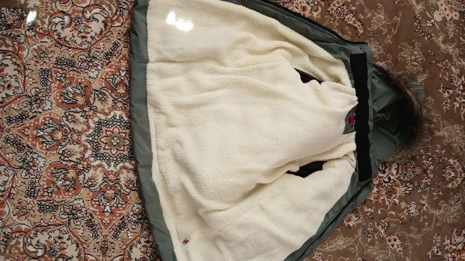 کاپشن زمستانی|لباس|سنندج, |دیوار