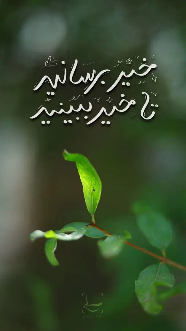 راننده خانم|خدمات حمل و نقل|شوشتر, |دیوار