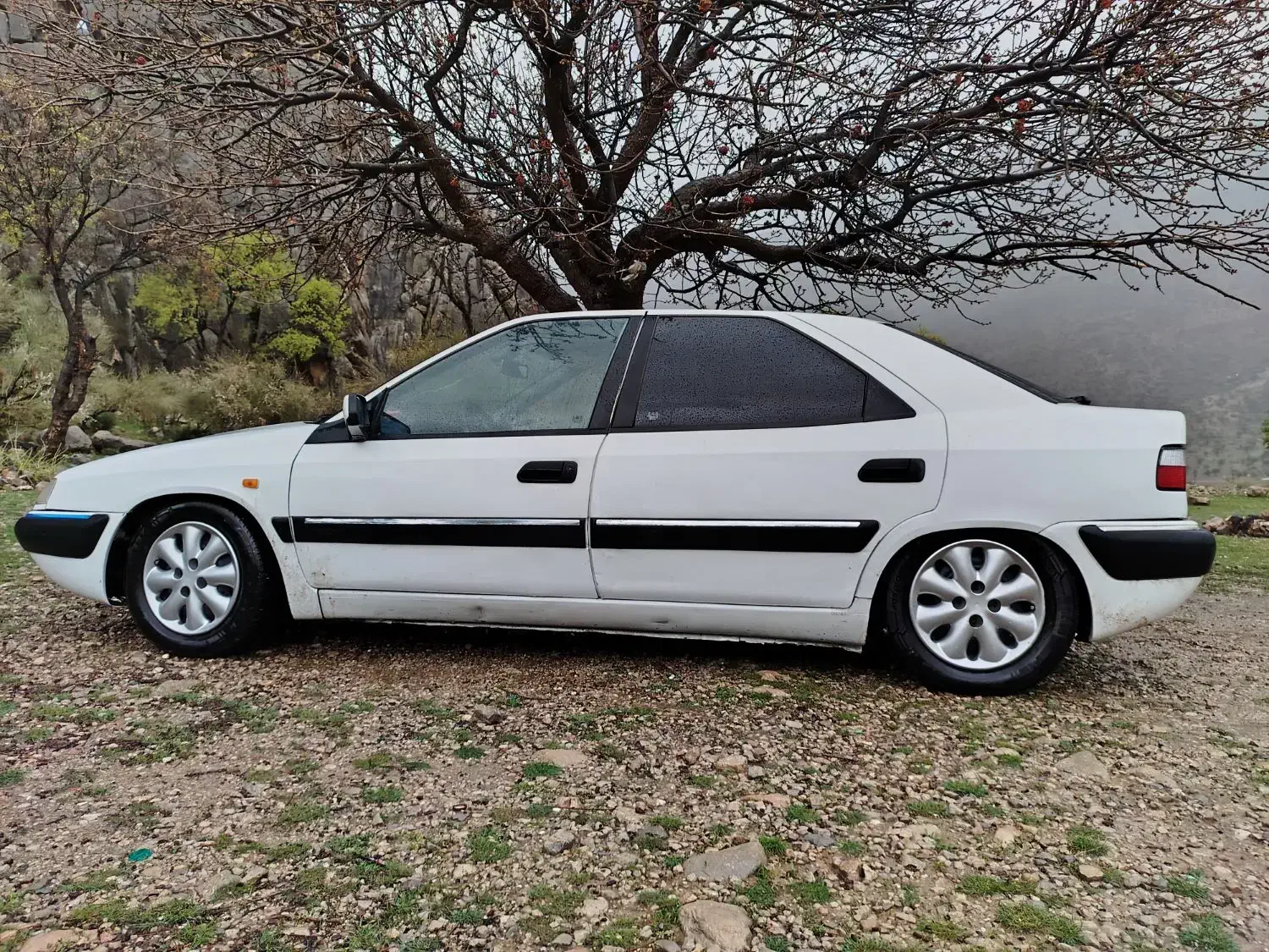 سیتروئین دو هزار|خودرو سواری و وانت|مرودشت, ثبت احوال|دیوار